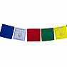 Tibetan prayer flags Buddha the healer 10 pcs