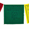 Tibetan prayer flags Buddha the healer 10 pcs