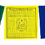 Tibetan prayer flags Buddha the healer 10 pcs