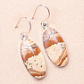 Jasper picture earrings silver Ag 925 E218