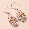 Jasper picture earrings silver Ag 925 E389