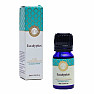 Eucalyptus essential oil Song of India 10 ml