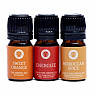 Song of India Set of 3 bottles of essential oils and aromatherapy blends Citrus