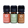 Song of India Set of 3 bottles of Essential Oil Blends for Happiness Aromatherapy