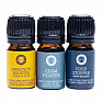 Song of India Set of 3 bottles of essential oil blends for wellness aromatherapy