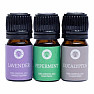 Song of India Set of 3 bottles of essential oils for aromatherapy Breathe