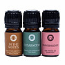 Song of India Set of 3 bottles of essential oils and their blends for aromatherapy Woodsy