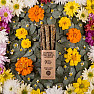 Fragrance sticks Sagrada Madre Chamomile, Calendula and Olibanum