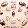 Aragonite brown oval 5 cm