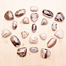 Aragonite brown oval 5 cm