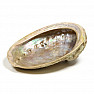 Abalone shell polished smoking bowl XL 18 to 21 cm