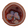 Agate red candlestick slice