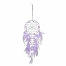 Dream Catcher Purple Tenderness