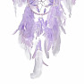 Dream Catcher Purple Tenderness