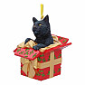 Christmas ornament Cat Gift