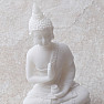 Buddha with a vase of Amrita