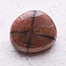 Chiastolite tumbled