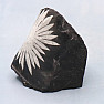 Chrysanthemum stone China 11