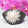 Chrysanthemum Stone China 1