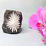 Chrysanthemum Stone China 2