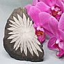 Chrysanthemum Stone China 3