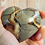 Polished septaria Madagascar Heart P6-4