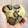 Polished septaria Madagascar Heart P6-6