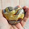 Polished septaria Madagascar Heart P6-7