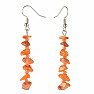 Carnelian earrings with seed beads