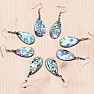 Paua shell earrings Drops