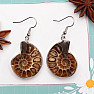 Ammonite earrings