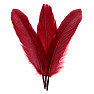 Goose feather for smoking scarlet 18 cm