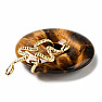 Tiger eye donut with snake