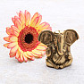 Feng Shui statuette of Ganesha brass