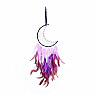 Dream Catcher Violet Moon