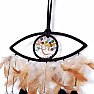 Dream Catcher Black Eye with Tree of Life