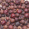 Himalayan juniper - fruit