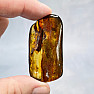 Polished amber Lithuania 8