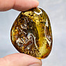 Polished amber Lithuania 11