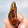 Polished amber Lithuania 9