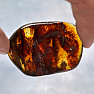 Polished amber Lithuania 9