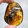 Polished amber Lithuania 6