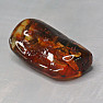 Polished amber Lithuania 1