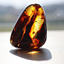 Polished amber Lithuania 3