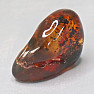 Polished amber Lithuania 4