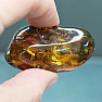 Polished amber Lithuania 5