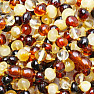 Amber natural bracelet large polished beads 4 colors