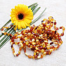 Amber beads for children flat polished multicolor