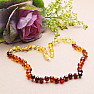 Amber necklace Rainbow multicolor extra I.