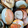 Polychrome tumbled oval jasper